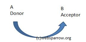 Human blood group and classification of ABO system